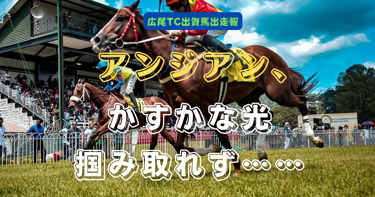 アンジアン、かすかな光　掴み取れず……